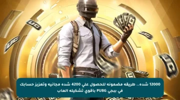 12000 شدة.. طريقة مضمونة للحصول على 4200 شدة مجانية وتعزيز حسابك في ببجي PUBG بأقوى تشكيلة ألعاب